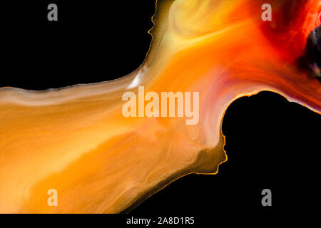 gold red and black abstract background with watercolor painting on glass surface isolated on black, abstract fire image with copy space Stock Photo