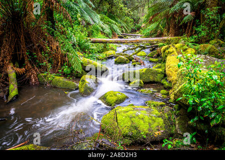 Erskine River runs through Great Otway National Park in Victoria, Australia. Stock Photo