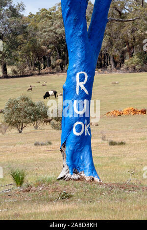 Are You Okay tree 'R U OK' Tree painted blue symbolizing mental illness, Toodyay, Western Australia Stock Photo