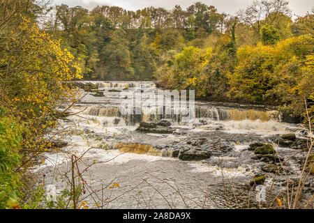 Aysgarth Upper Falls, Wensleydale, Yorkshire Dales in Autumn Stock Photo