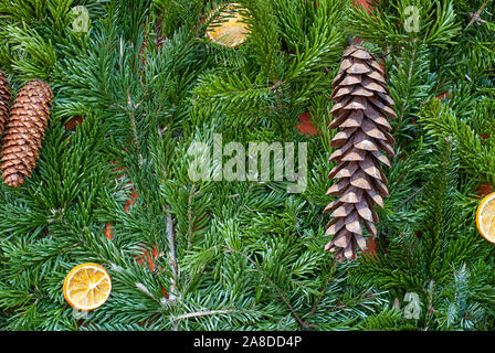 Christmas beautiful background.Christmas tree, lemon, orange fruits slices, and cones with snow. Stock Photo