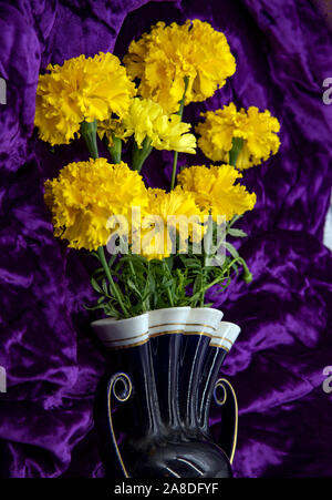 yellow marigold in a vase on a purple velvet background. Stock Photo