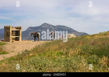 Two horses of white and red color graze on a green meadow against a background of mountains and blue sky Stock Photo