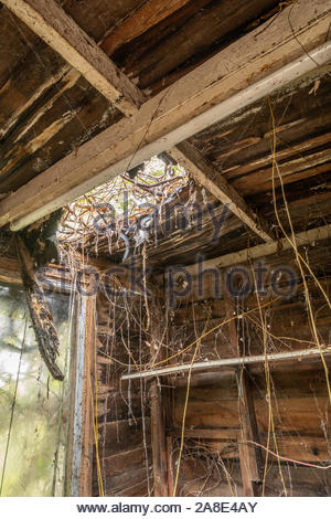 Rotting Broken Down Shed With A Wooden Pillory In Front Stock Photo 