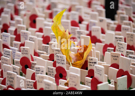 Westminster, London, UK. 8th November 2019. People coming to pay tribute to fallen soldiers at the Field of Remembrance on Westminster Abbey grounds, now open to the general public.  Fallen yellow leaf fallen in rows of memorial crosses with inscriptions and poppies. The Field will remain open until the 18th of November. Credit: JF Pelletier / Alamy Live News Stock Photo