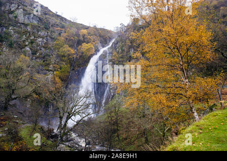 Autumn colours at Aber Falls (Rhaeadr Fawr) waterfall in Coedydd Aber National Nature Reserve in Snowdonia National Park. Abergwyngregyn Gwynedd Wales Stock Photo