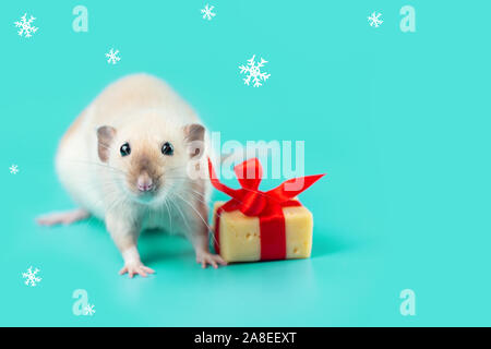 cute decorative rat with cheese gift and red bow on mint background and white snowflakes Stock Photo