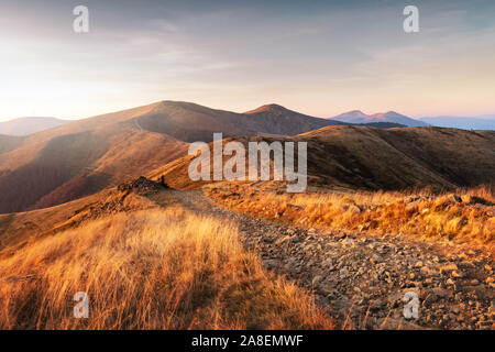 Yellow grass trembling in the wind in autumn mountains at sunrise. Carpathian mountains, Ukraine. Landscape photography Stock Photo