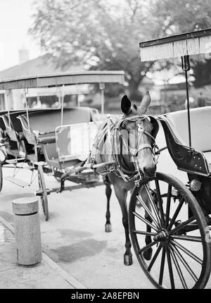 Horse and carriages lining the street in front of Jackson Square in New Orleans, Louisiana Stock Photo