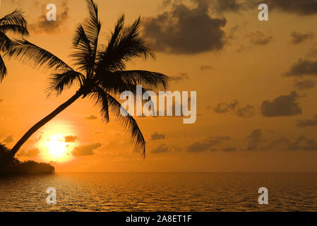 Sonnenuntergang am Traumstrand, Karibik, Stock Photo