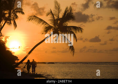 Sonnenuntergang am Traumstrand, Karibik, Stock Photo