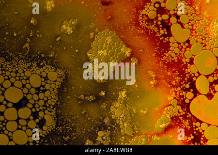 red yellow abstract background with oil bubbles Stock Photo