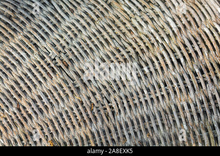 Whicker pattern close up in a fan like pattern. Stock Photo