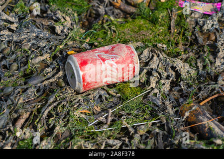 drinks tin can on the beach caught in seaweed, pollution on the beaches, Sky Ocean Rescue Stock Photo