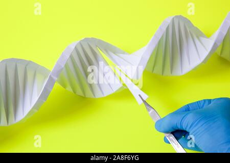 Modifying DNA, conceptual image Stock Photo