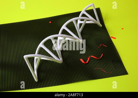 DNA molecule, conceptual image Stock Photo