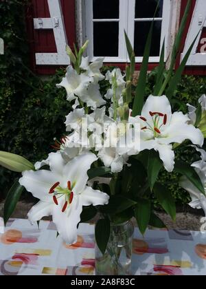 Bouquet de lys Casablanca et glaïeuls blancs Stock Photo