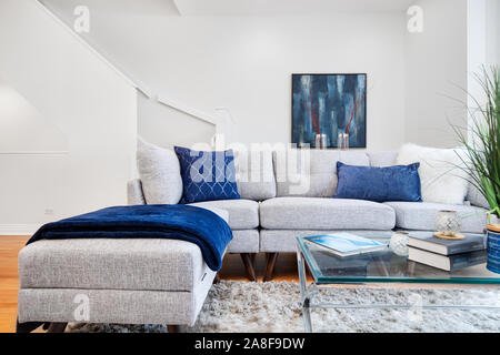 A luxurious condo in downtown Chicago with a beautiful living room that's decorated with a modern but comfortable touch. Stock Photo