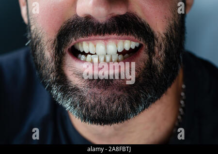 Cropped close up portrait of a bearded man showing his teeth. Stock Photo