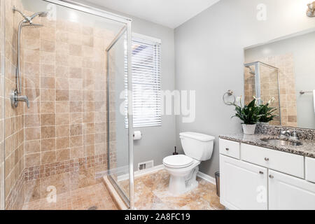 A small, luxurious bathroom with a stand up shower and brown marble tiles lining the floor and shower. A plant is put on the dark marble. Stock Photo