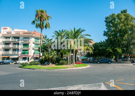 Cambrils Spain 8 August 13 year. City street with beautiful large palm trees on a Sunny summer day. Stock Photo