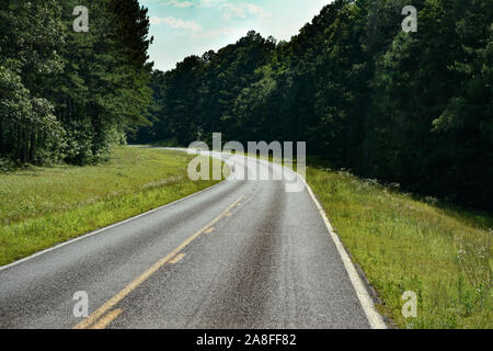 A curving empty asphalt highway cutting through a pine tree forest in rural Southern Mississippi, USA Stock Photo