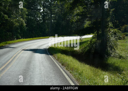 A curving  empty asphalt highway cutting through a pine tree forest in rural Southern Mississippi, USA Stock Photo