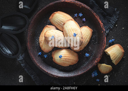 Traditionally Madeleine cookies baked in a fluted tin or mould Stock Photo