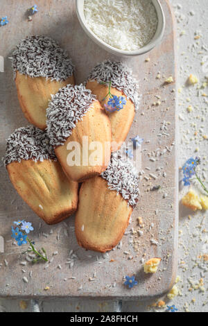 Tasty Madeleine cookies baked in a fluted tin or mould Stock Photo