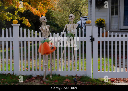 Happy skeleton neighbors talking across the fence dressed up for Halloween, Yarmouth, Maine, USA Stock Photo