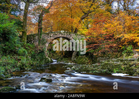 Foley's Bridge autumn Stock Photo