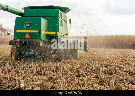 Corn Harvest, Autumn, Indiana, USA, by James D Coppinger/Dembinsky Photo Assoc Stock Photo