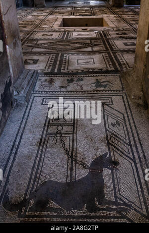 Dog mosaic decorating the floor of the House of the Cryptoporticus (Casa del Criptoportico) at Pompeii ruins, Campania, Italy Stock Photo