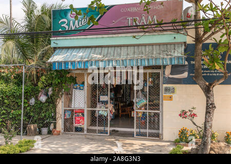 Nha Trang, Vietnam - March 11, 2019: Convenience store in rural Phuoc Trach neighborhood adds colors to its front by displaying advertisements. Green Stock Photo