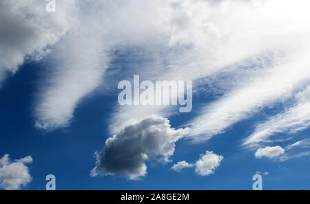 Fluffy white cumulus clouds with cumulostratus formations on a spring afternoon are contrasted against the azure blue Australian sky creating a design. Stock Photo