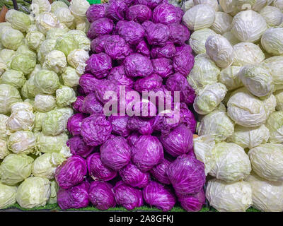 Violet and green cabbages at supermarket for healthy concept Stock Photo