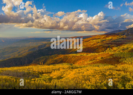 Fall color in La Sal Mountains, Utah, Manti-La Sal Mountains, Gambel oak and aspen trees La Sal Pass Stock Photo
