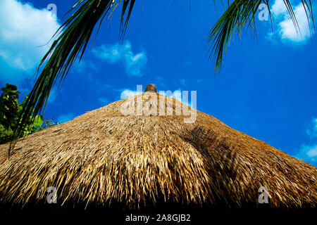 Texture of a Thatched Roof Stock Photo