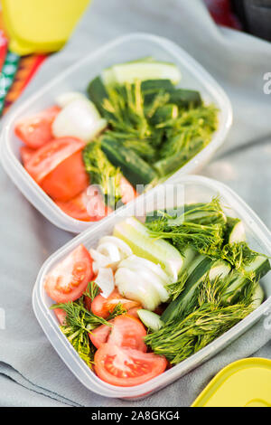 Closeup of containers with vegetables in nature during a picnic. Summer, rest, healthy eating concept Stock Photo