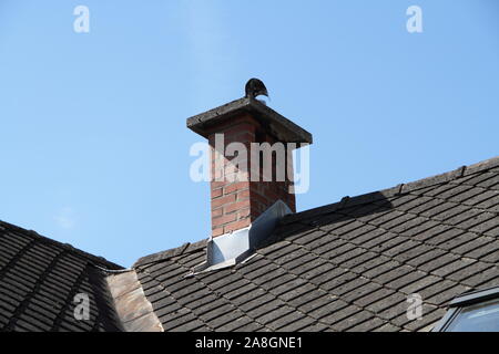 a brick chimney on the roof Stock Photo