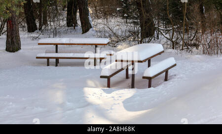 Sun shining on picnic benches and table covered with thick layer of snow in forest. Stock Photo