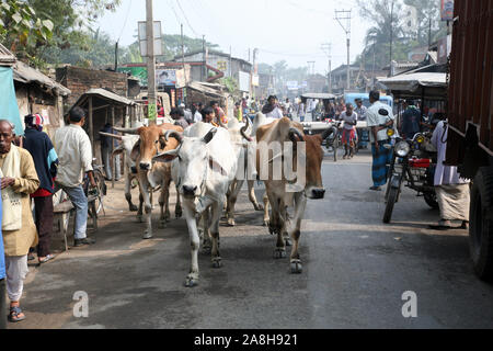People on market in Kumrokhali, West Bengal, India Stock Photo