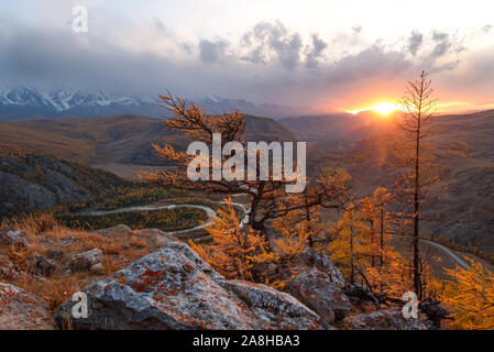 Amazing sunset with a golden larch tree, the sun, a valley with a winding river, mountains covered with forest and snow against a cloudy sky and cloud