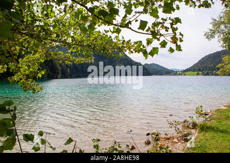 Shore along the Hintersteinersee lake. Austria Europe Wilder Kaiser Stock Photo