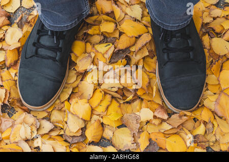 Two male legs in boots in foliage on a walk. Men's black lace-up shoes outdoors. Feet in yellow fallen leaves. Stock Photo