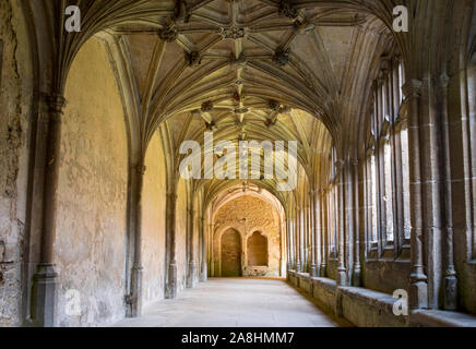 Lacock Abbey Cloisters in Wiltshire. Once a monastic abbey then a stately home, beautiful example of fan vaulted ceiling Stock Photo