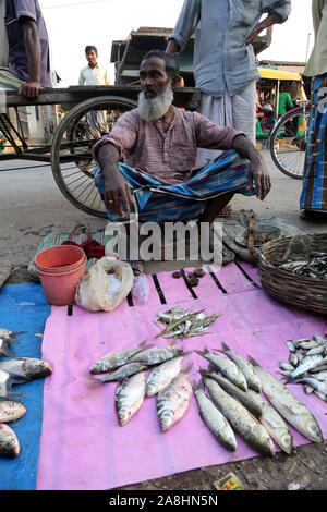 Fish market in Kumrokhali, West Bengal, India Stock Photo