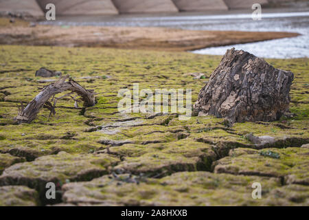 Dried out ground with big cracks in it. Desert. Drought. Stock Photo