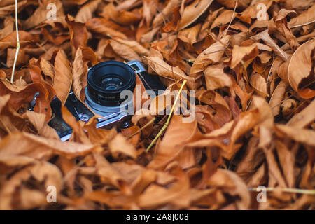 Old vintage photo camera in a pile of orange leaves in autumn. Stock Photo