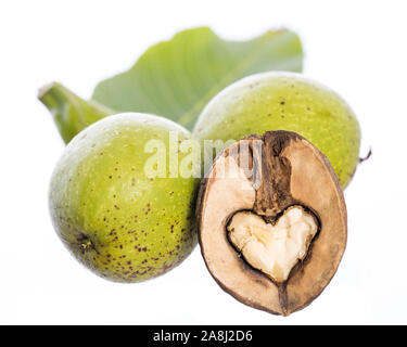 heart shaped halfed walnut kernel in front of 2 fresh green walnuts on a branch with an leaf isolated on white background Stock Photo
